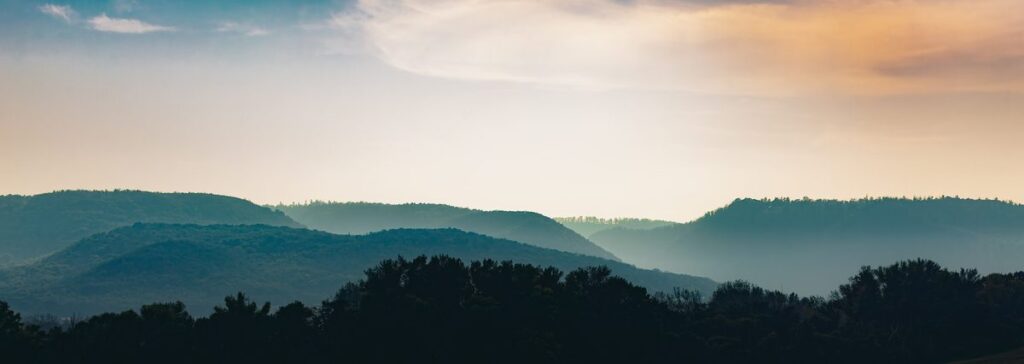 Der Harzer Wald im Morgengrauen